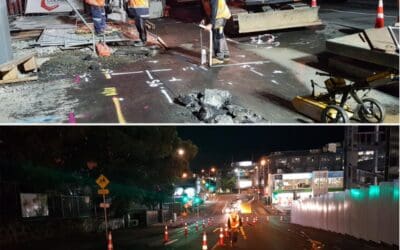 Scenter Group – West Field Newmarket