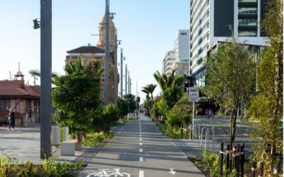 Quay Street Up-Grade, Auckland CBD